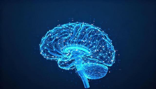 能够增强腿 能够增强腿